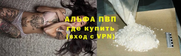 мдпв Дмитров