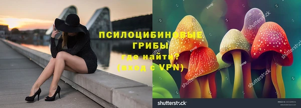 альфа пвп Дмитровск
