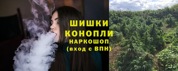 мдпв Дмитриев
