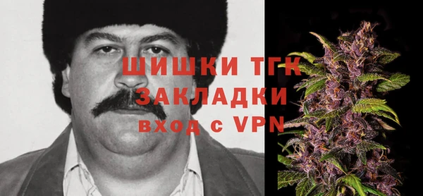 мдпв Дмитров